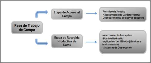 Etapas de Fase de Trabajo de Campo