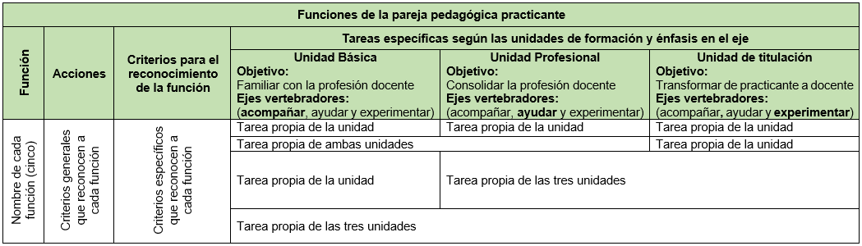 Formato de la tabla de funciones de la pareja pedagógica practicante